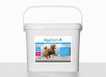 AlgalSorb Horse Product Image