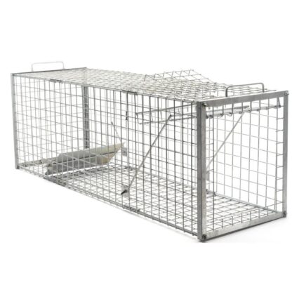 Humane fox trap