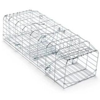 squirrel trap