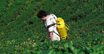Man spraying disinfectant in field