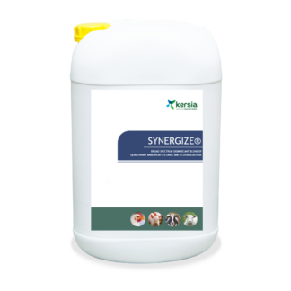 SYNERGIZE